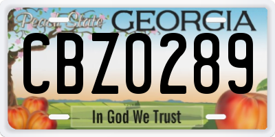 GA license plate CBZ0289