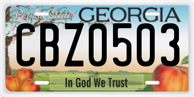 GA license plate CBZ0503