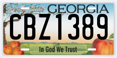 GA license plate CBZ1389