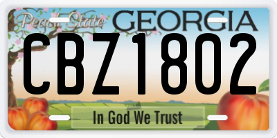 GA license plate CBZ1802