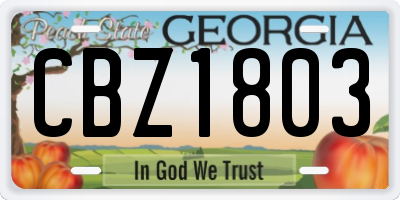 GA license plate CBZ1803