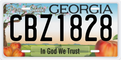 GA license plate CBZ1828
