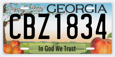 GA license plate CBZ1834