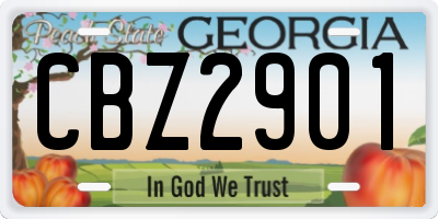 GA license plate CBZ2901