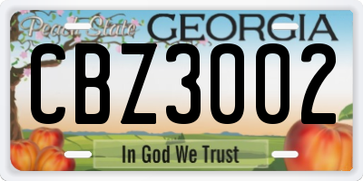 GA license plate CBZ3002