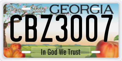 GA license plate CBZ3007