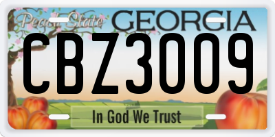 GA license plate CBZ3009