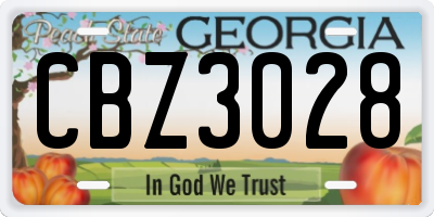 GA license plate CBZ3028