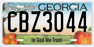 GA license plate CBZ3044