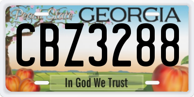 GA license plate CBZ3288