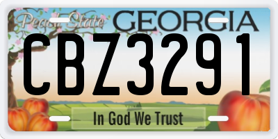 GA license plate CBZ3291