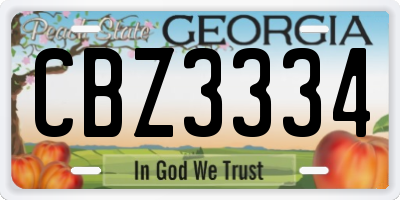 GA license plate CBZ3334