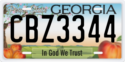 GA license plate CBZ3344