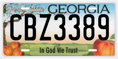 GA license plate CBZ3389