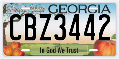 GA license plate CBZ3442
