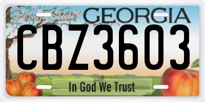 GA license plate CBZ3603