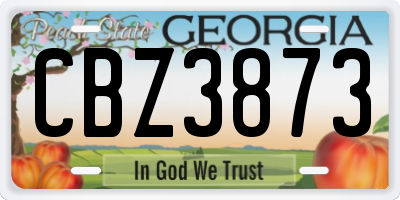 GA license plate CBZ3873