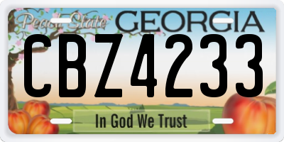 GA license plate CBZ4233
