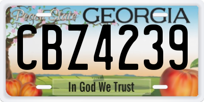 GA license plate CBZ4239