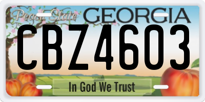 GA license plate CBZ4603