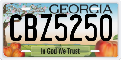 GA license plate CBZ5250