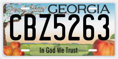 GA license plate CBZ5263