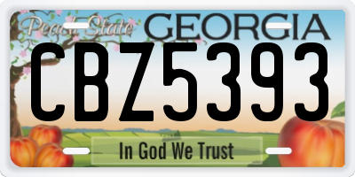GA license plate CBZ5393
