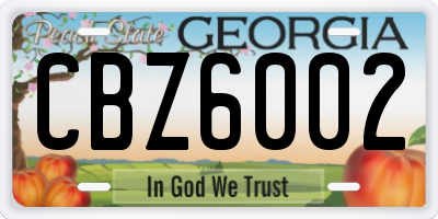 GA license plate CBZ6002