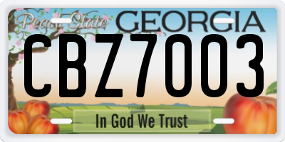 GA license plate CBZ7003