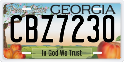 GA license plate CBZ7230