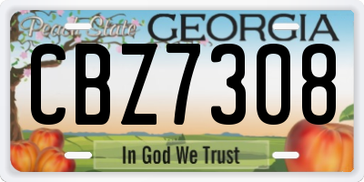 GA license plate CBZ7308