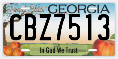 GA license plate CBZ7513
