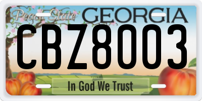 GA license plate CBZ8003