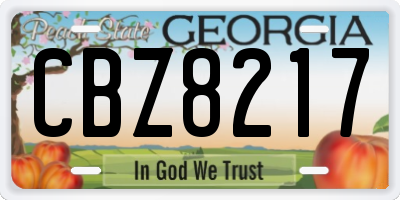 GA license plate CBZ8217