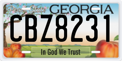 GA license plate CBZ8231