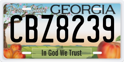 GA license plate CBZ8239