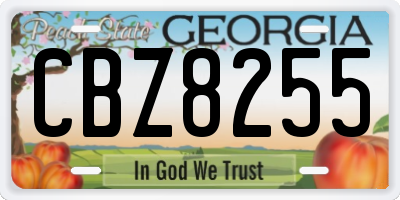 GA license plate CBZ8255