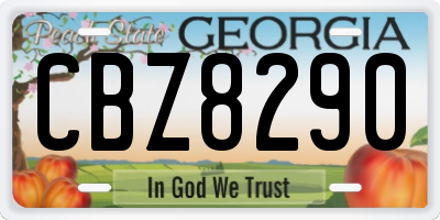 GA license plate CBZ8290