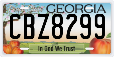 GA license plate CBZ8299
