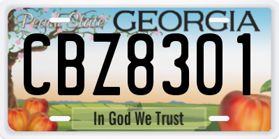 GA license plate CBZ8301