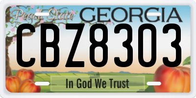 GA license plate CBZ8303