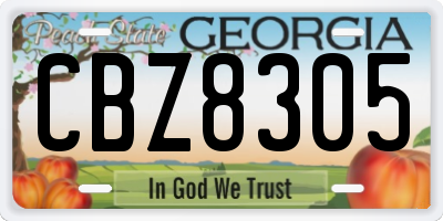 GA license plate CBZ8305