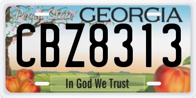 GA license plate CBZ8313