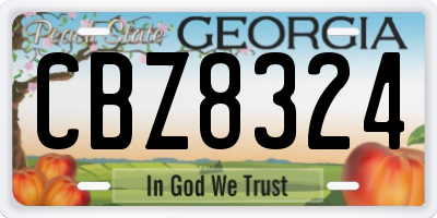 GA license plate CBZ8324