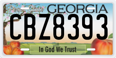 GA license plate CBZ8393