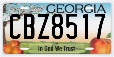 GA license plate CBZ8517