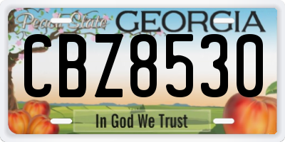 GA license plate CBZ8530