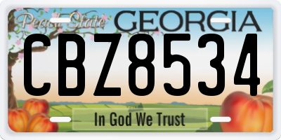 GA license plate CBZ8534