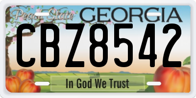 GA license plate CBZ8542