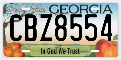 GA license plate CBZ8554